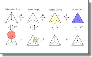 Discrete Forms are the (geometric) building blocks of computations.