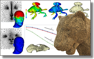Finite dimensional calculus on subdivision surfaces
