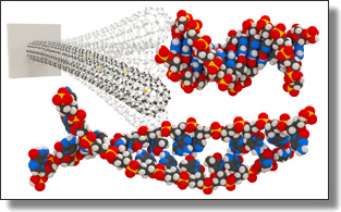 Fold your proteins at home more quickly
