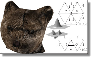 Vector fields using just values on edges
