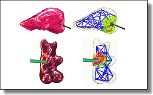 Examples of realtime interaction with virtual, dynamic models
