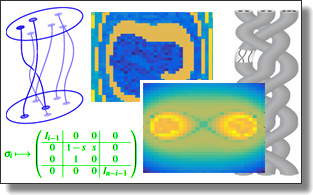 Braids for dynamical systems