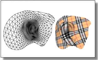 An example of Natural Conformal Parameterization