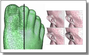 Meshes, remeshed from head to toe :).