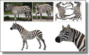 Decorate your meshes using photos!