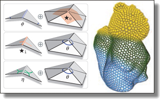 Geometry processing with weights